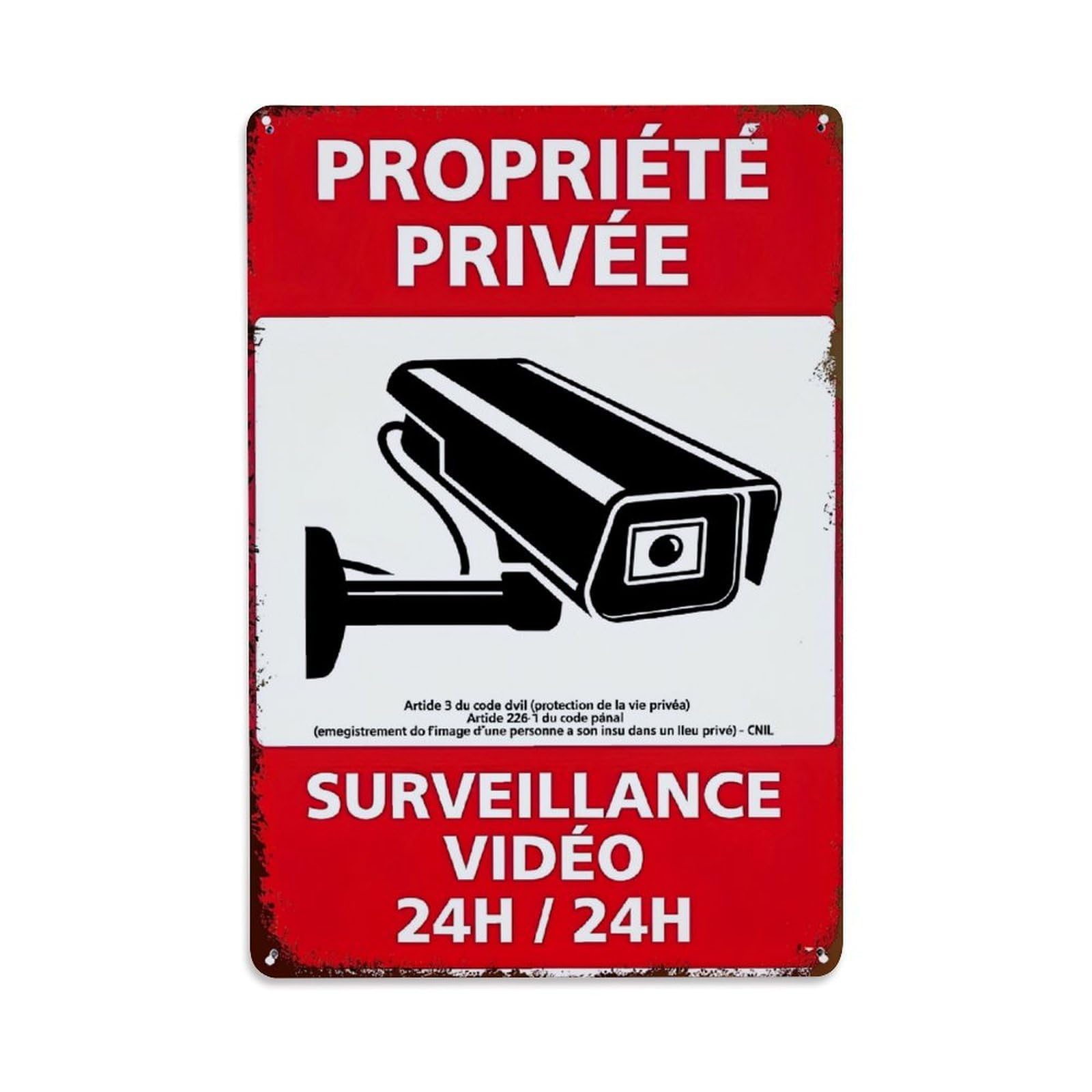 Private Property Video Surveillance 24h 24h Retro Metal Tin Sign, Vintage Decor Art Poster for Bar, Home, Man Cave, Kitchen, Laundry Room Gift 8x12Inch
