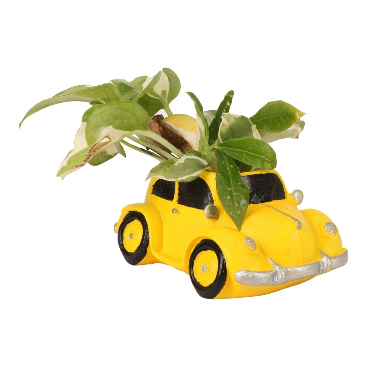 See full amazon price history chart for Brotherhood Enterprise Resin Planter Amazing & Attractive Yellow Retro Small Car Resin Succulent Pot Car Shape Succulent Planter Flower Pots Indoor Container Home Garden Decoration and Office Table Brotherhood Enterprise Resin Planter Amazing & Attractive Yellow Retro Small Car Resin Succulent Pot Car Shape Succulent Planter Flower Pots Indoor Container Home Garden Decoration and Office Table (B08HY1HRBX) Amazon Price History, Amazon Price Tracker