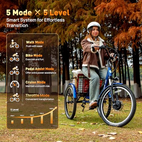 24″ Electric Trike，Electric Tricycle for Adults, 350W(Peak