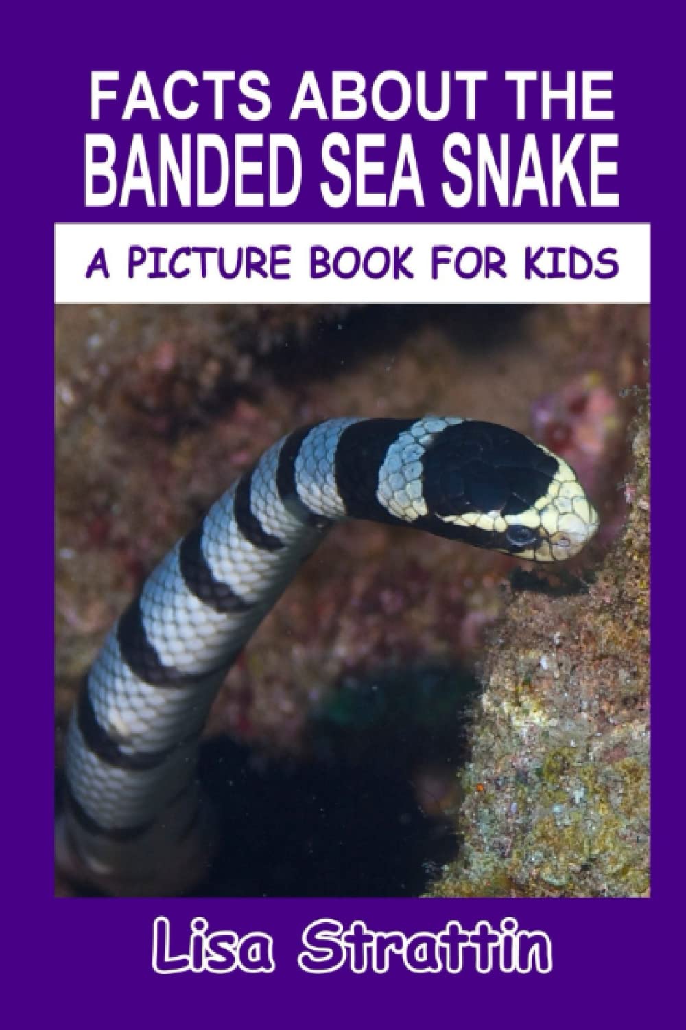 Facts About the Banded Sea Snake (A Picture Book For Kids)