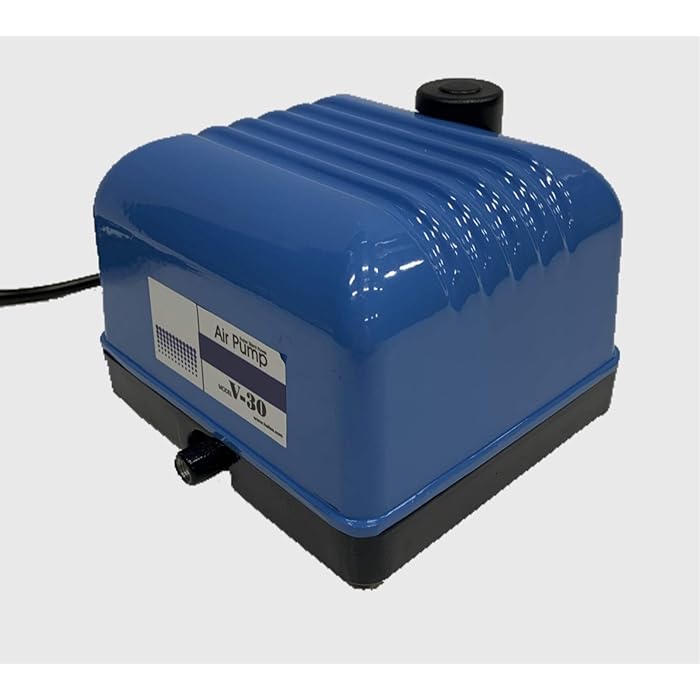 Buy Blue Diamond Pumps V30 Aquarium Air Pump with 6 Outlet Manifold