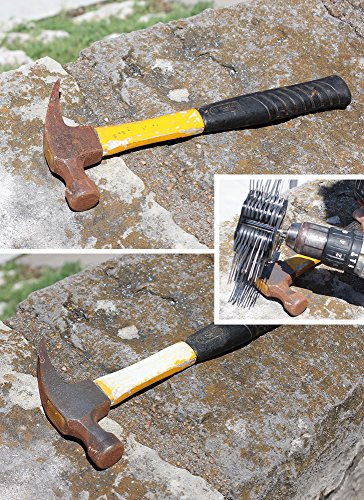 Roto Stripper Paint & Rust Remover Drill Attachment - Standard/Home ...