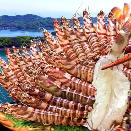 ԊCV ܂܁yz ԊCV 800giML 24`35j F{VY ۘa Ԃ xĂ hg {B VN N}Gr