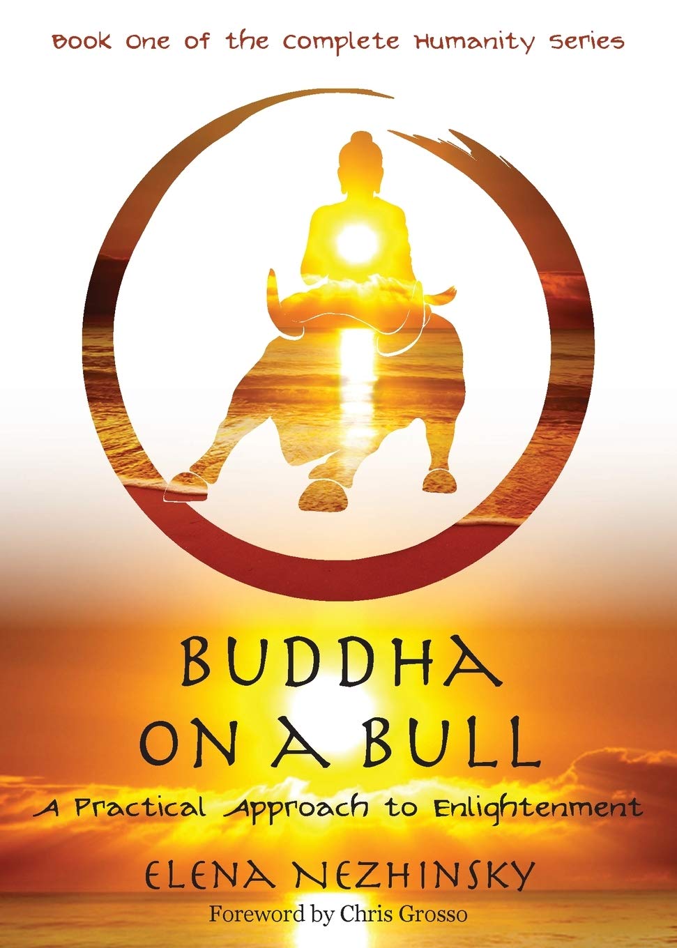 Buddha on a Bull: A Practical Approach to Enlightenment: 1 (Complete Humanity)
