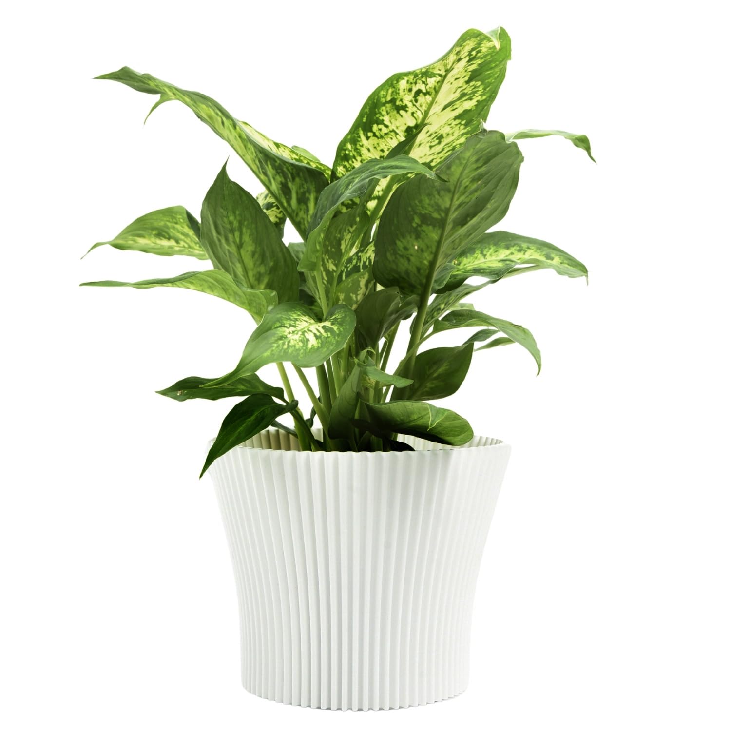 B2C Matt Ribbed Flower Pot – Modern Flared Conical Planter with Pleated Design, Lightweight, Indoor/Outdoor Decorative Plant Pot – Multiple Sizes & Colors (White, 11cm)