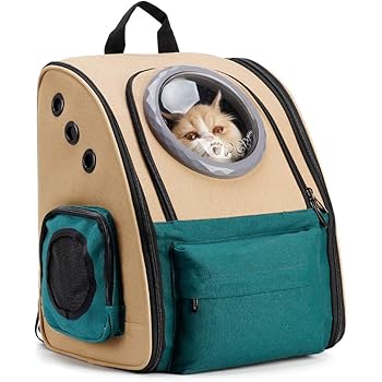 grateful dog walkers