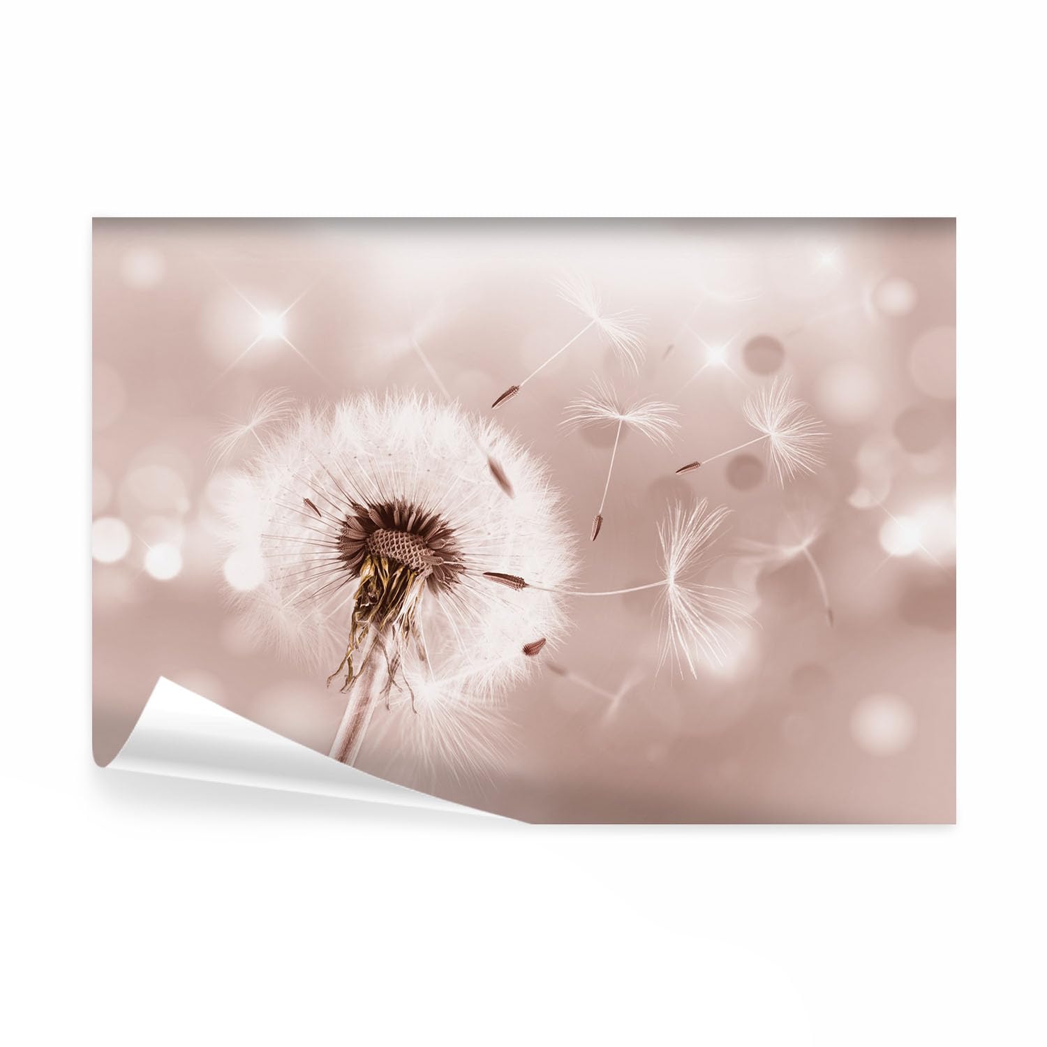 decomonkey Fototapete Pusteblume Natur, 400x280 cm, XL, Blumen Abstrakt | Vlies, Schlafzimmer, Wohnzimmer, Tapete, Fototapeten, Tapeten, Vliestapete, Wandtapete, moderne, Wandbild, Wand