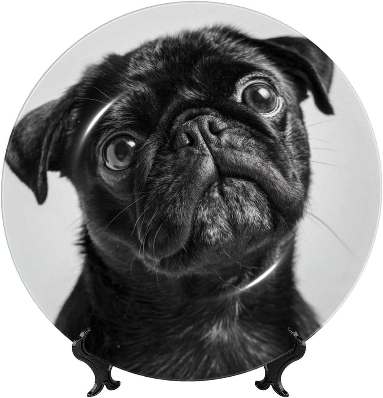 Bone China Decorative Plate with Display Cute Pug Dog Ceramic Plates Crafts Art Decor Dessert Plate Ceramic Ornament Porcelain Plates for Living Room Kitchen Table Home Decor