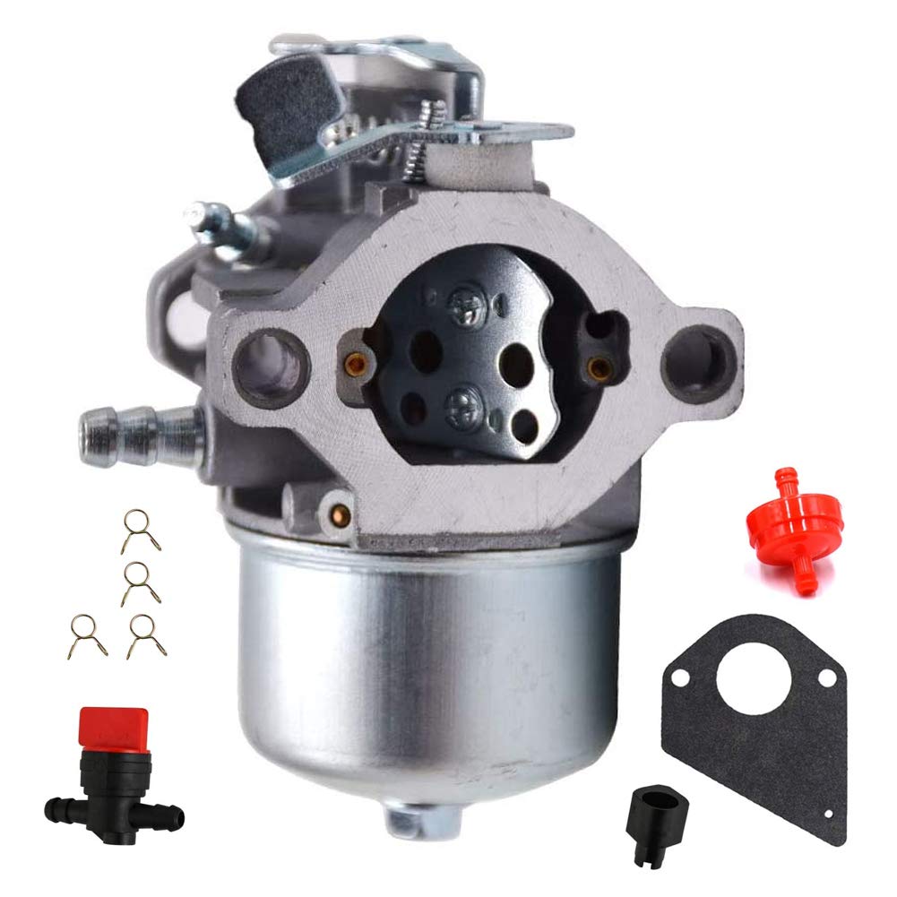Carbman698171 Carburetor Compatible with Briggs & Stratton 697594 Fits 283000 284000 286000 Carb with Gasket