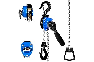 Mini Chain Hoist 1/4 ton Capacity, 5ft Lift - For Garages, Warehouses, and Auto