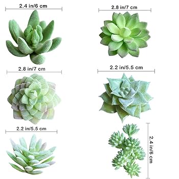 多肉植物 青緑色の鉢 大きめ*6 楽天市場】ブルー 青（サイズ（植木鉢）～ 3号）（植木鉢