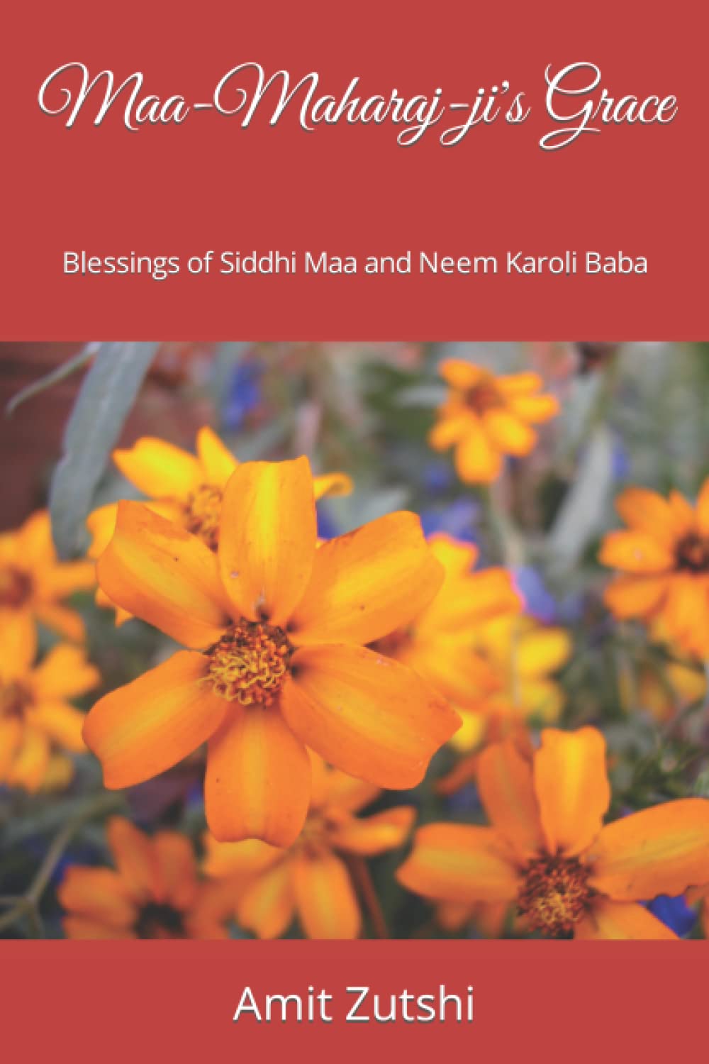 Buy MaaMaharajji's Grace Blessings of Siddhi Maa and Neem Karoli