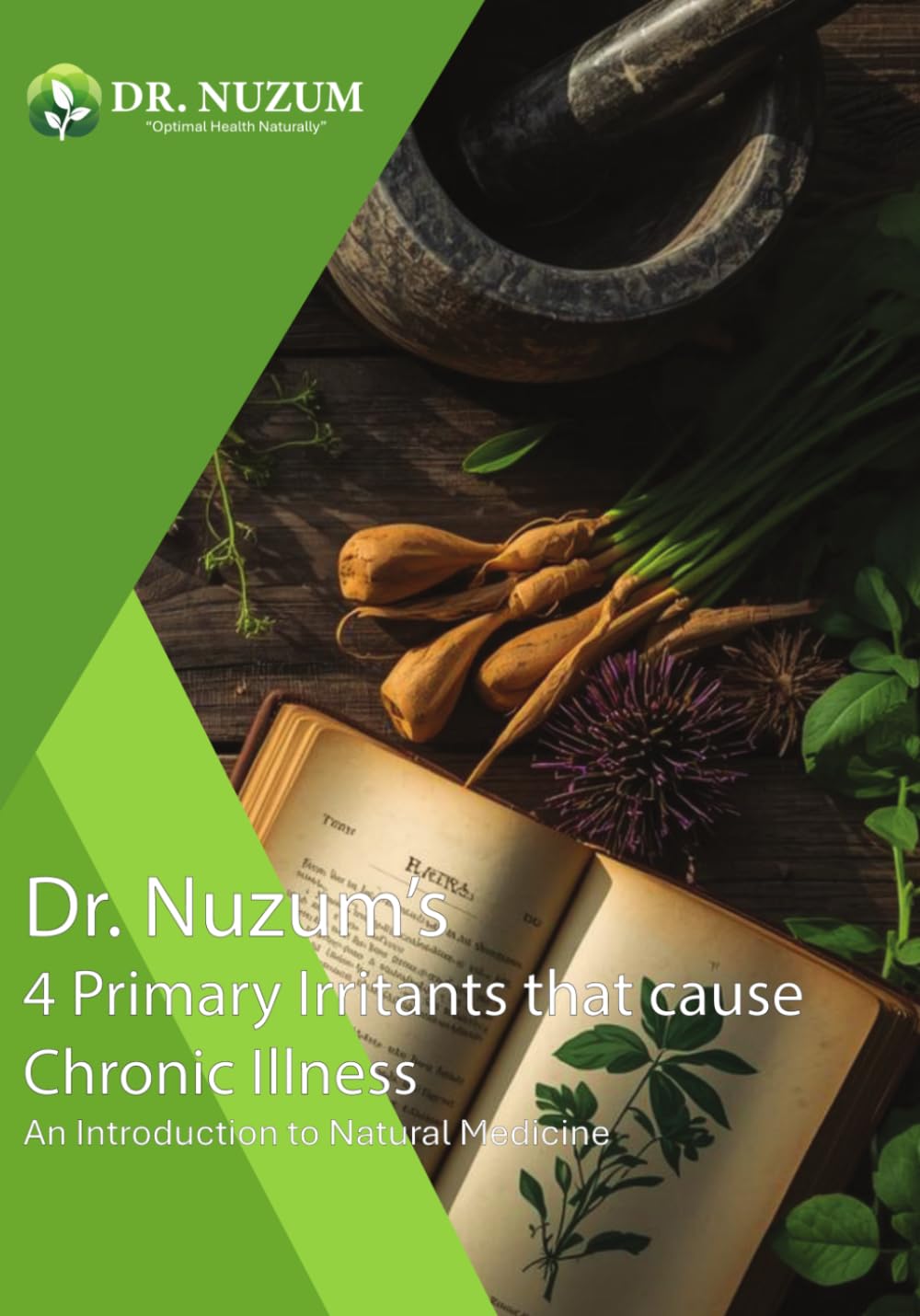 Four Primary Irritants That Cause Chronic Illness: An Introduction to Natural Medicine