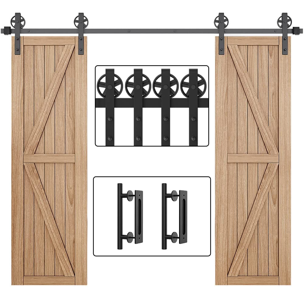 Buy WINSOON 10FT Wood Double Sliding Barn Door Hardware Basic Black Big