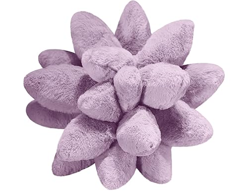 Best Succulent Plant Pillows: Enhance Your Home with Nature's Charm