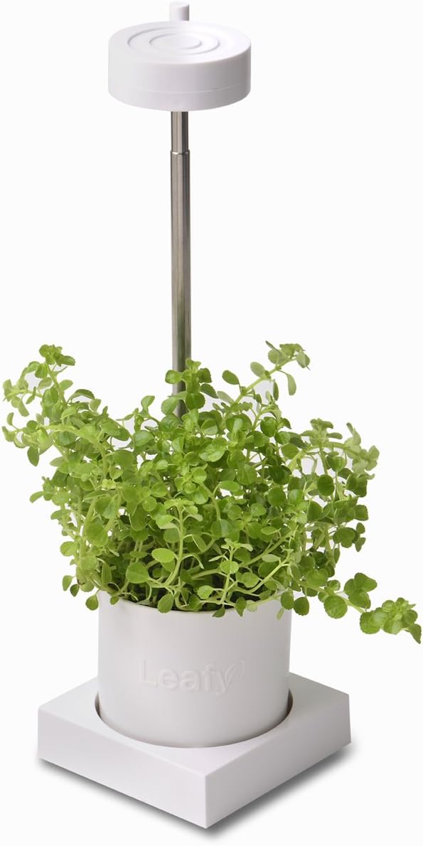 LEAFY GL301W DESKTOP HYDROPONICS & GROW LIGHT SYSTEM