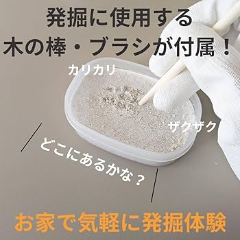 Amazon | 化石発掘体験キット（バラエティーセット）4個以上の化石入り