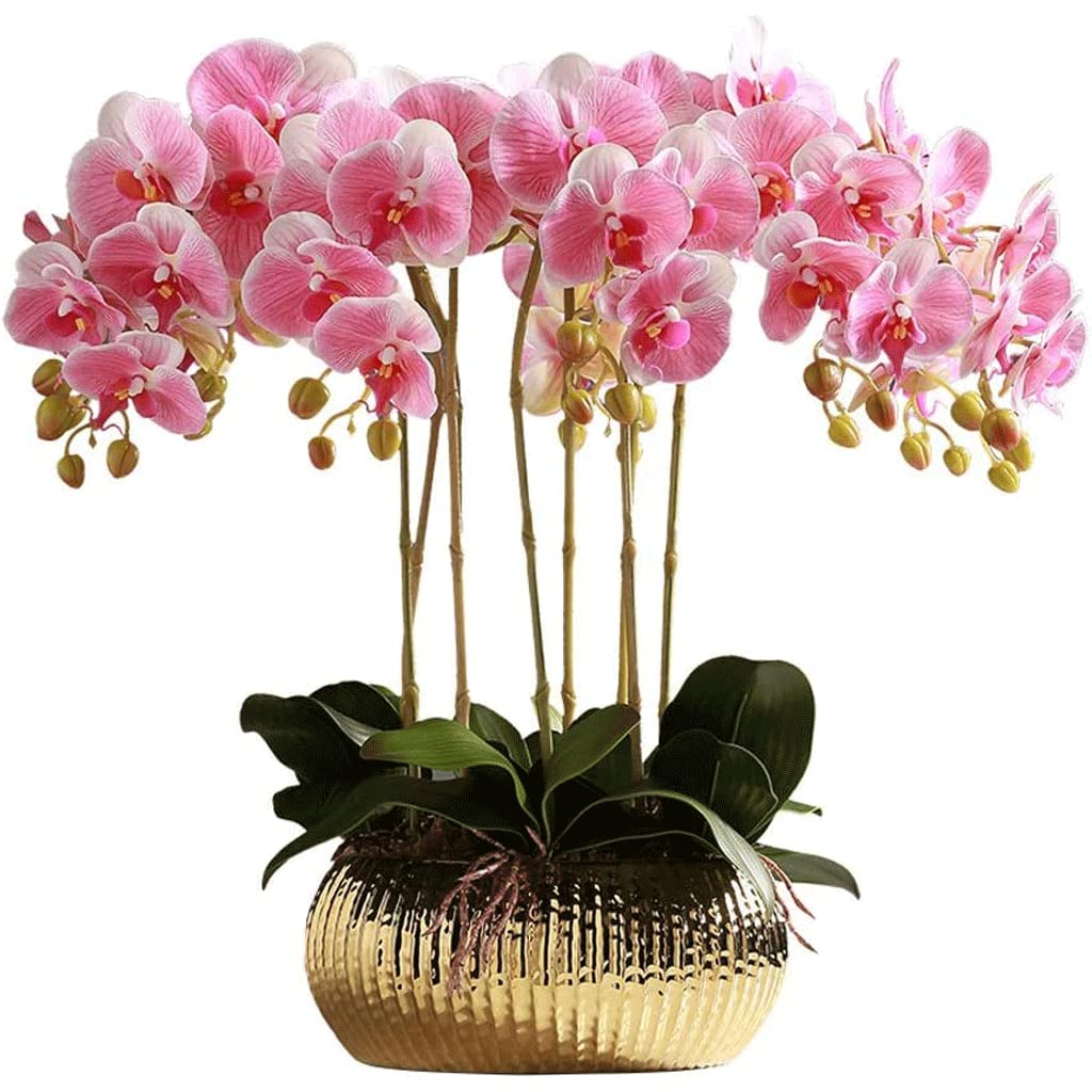 XDLEDMKIZ Orchid Artificial Flowers Elegant Artificial Phalaenopsis Flowers Centerpiece Faux Orchids Touch Realistic Artificial Orchid Faux Ornament natural look