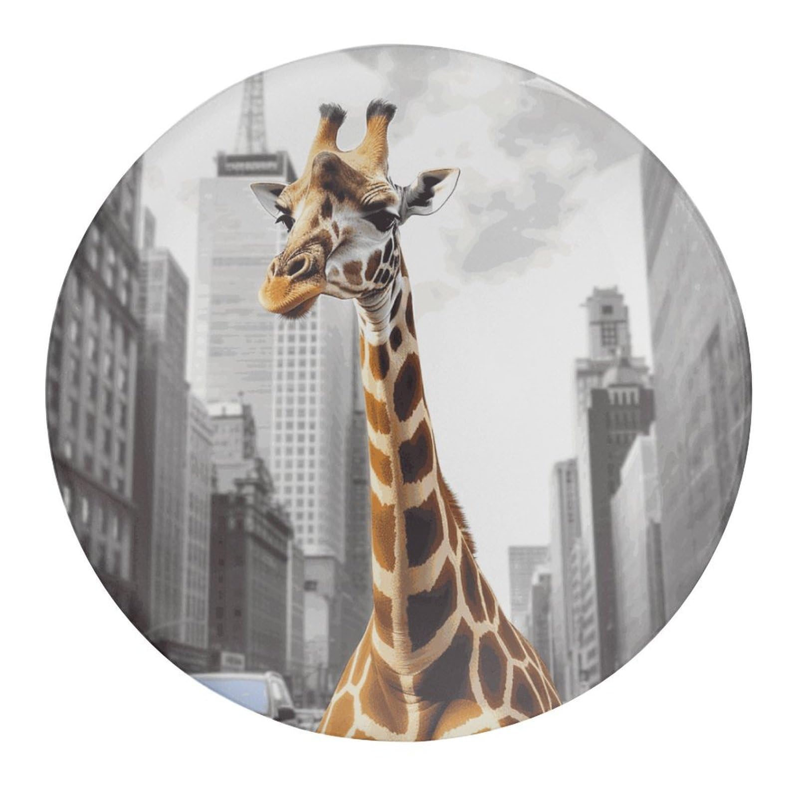 Fekiloot Style-29 Giraffe In New York Refrigerator Magnet Fridge Magnet4 Pcs