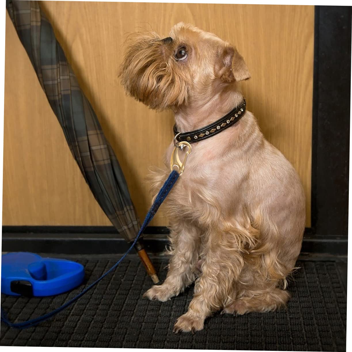 EXCEART 2sets Chiusure Acciaio Inossidabile Con Moschettone e Anelli Per Chiavi Per Creazioni Fai Te Di Gioielli e Accessori Per Cani