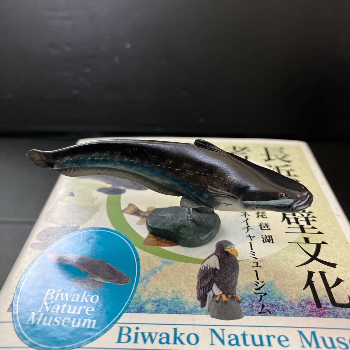 Amazon | 海洋堂フィギュアミュージアム黒壁 長浜黒壁文化考現学 