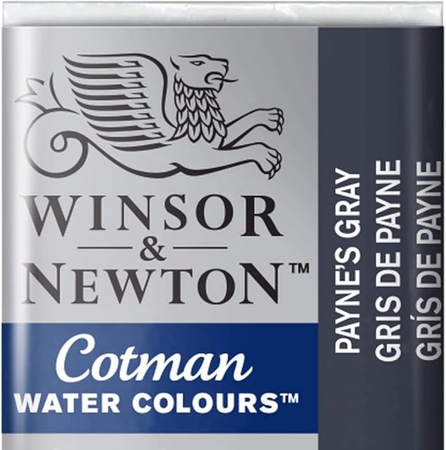 Winsor & Newton 0301696 Cotman Watercolour Paint  Payne's Grey, 1.9x1.6x1.1 cm