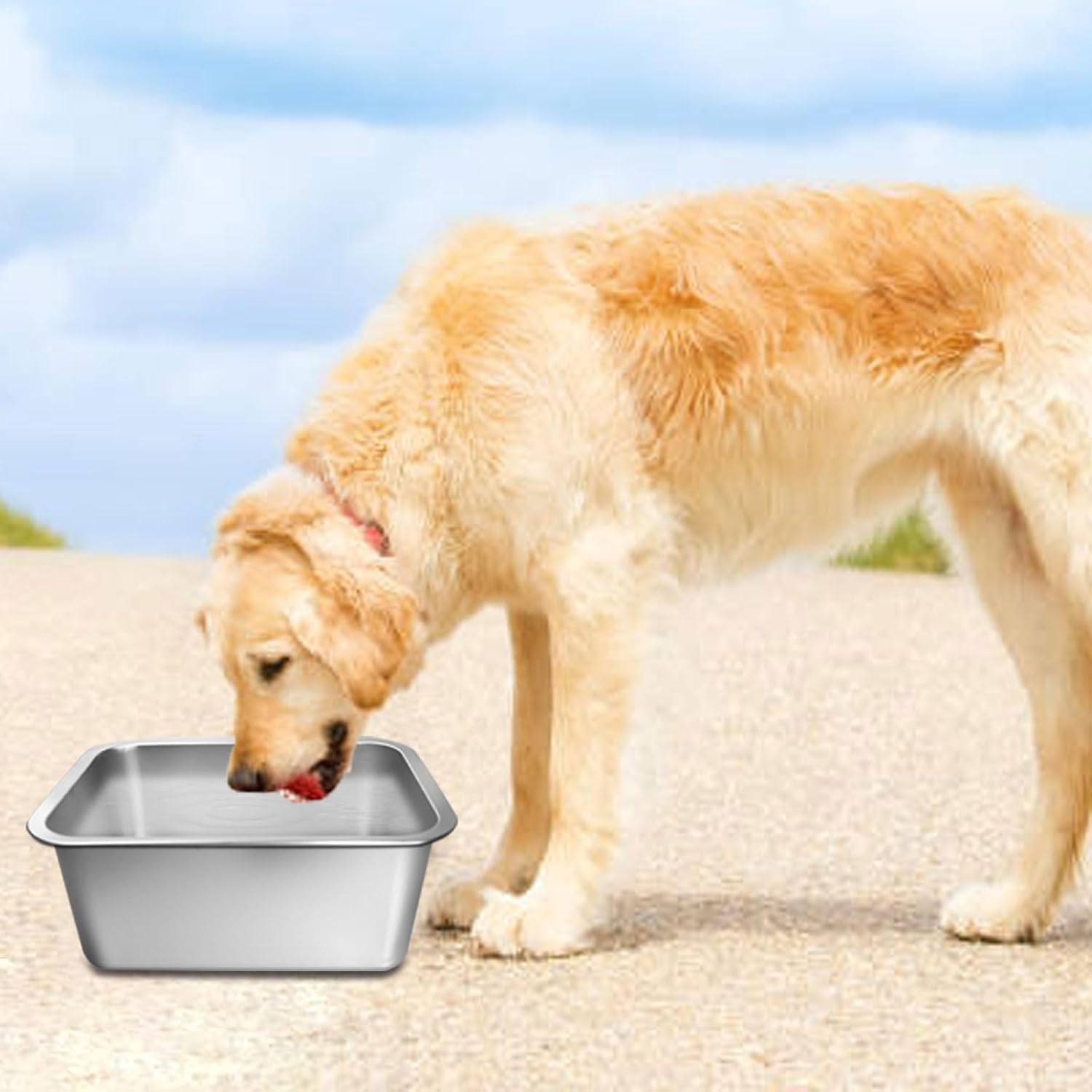 3 Pcs 3 Gallons Extra Large Dog Water Bowl, with 15 Non-Slip Gaskets Stainless Steel Dog Bowl,High Capacity Metal Water Bowls for Large, X-Large Breed Dogs Indoor Outdoor