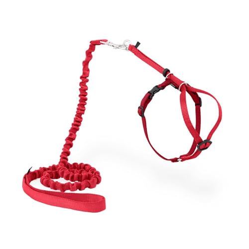 PetSafe Easy Walk, Arnés para Gatos, con Correa Elástica, Arnés de Seguridad, Ajustable, Cómodo, con Sección…