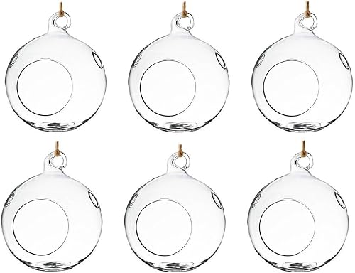 Set of 6 Hanging Glass Globe Plant Terrariums Orbs Air Plant Tea Light Candle Holders Succulents Moss Miniature Garden Indoor Home Decor Outdoor Garden DIY Design Gift 4 Inches by 4