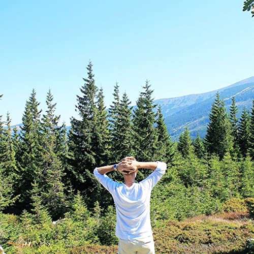 Mente calma, chitarra tranquilla, acqua e uccelli