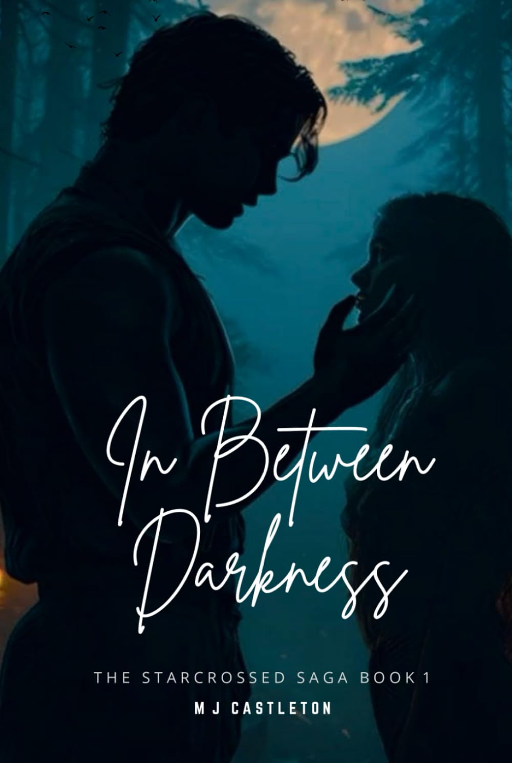 In Between Darkness: The Starcrossed Saga Book 1