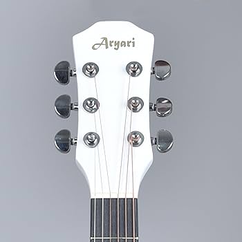 Aryari エレアコギター 左利き用 動作品 Aryari エレアコギター 左利き用 動作品 Aryari エレアコギター