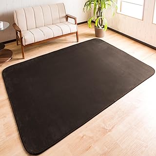 システムK ラグ カーペット 肌に優しいふんわり感 子供に安心の抗菌・防臭・防ダニ 130×185cm フランネルラグ 洗える 滑り止め 年間使えるラグ 床暖房 ホットカーペットOK 絨毯 約1.5畳 ダークブラウン