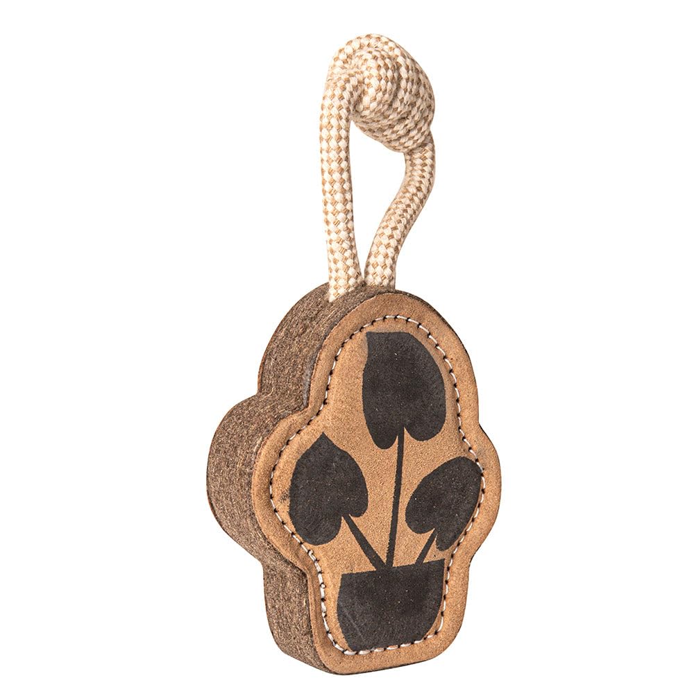 PAWPOURRI Natural Jute Dog Chew Toy, Tough & Durable Plant-Shaped Puppy Toy, Safe Teething Chew - Image 2