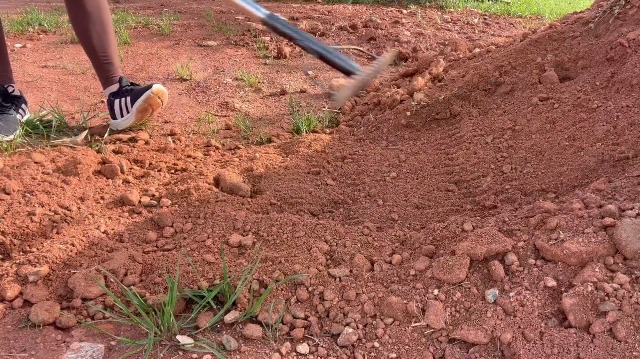 Rastrillo metálico resistente 63" para jardín y césped miniatura 7