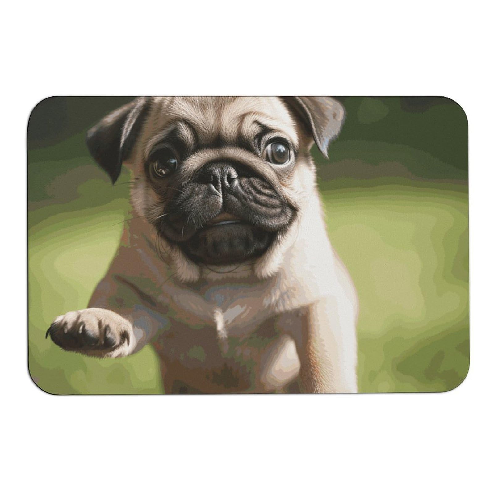 Tapis absorbant l'eau et antidérapant pour entrées humides