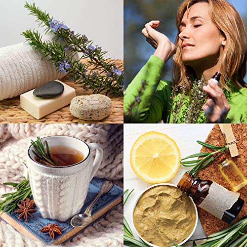 Mearome Olio essenziale di rosmarino