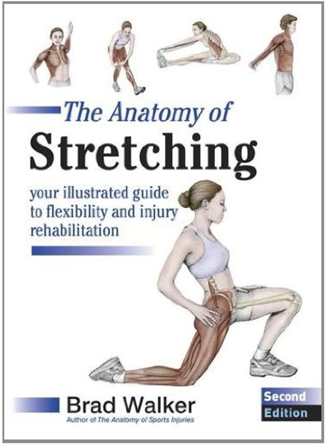 The Anatomy of Stretching: Your Illustrated Guide to Flexibility and Injury Rehabilitation