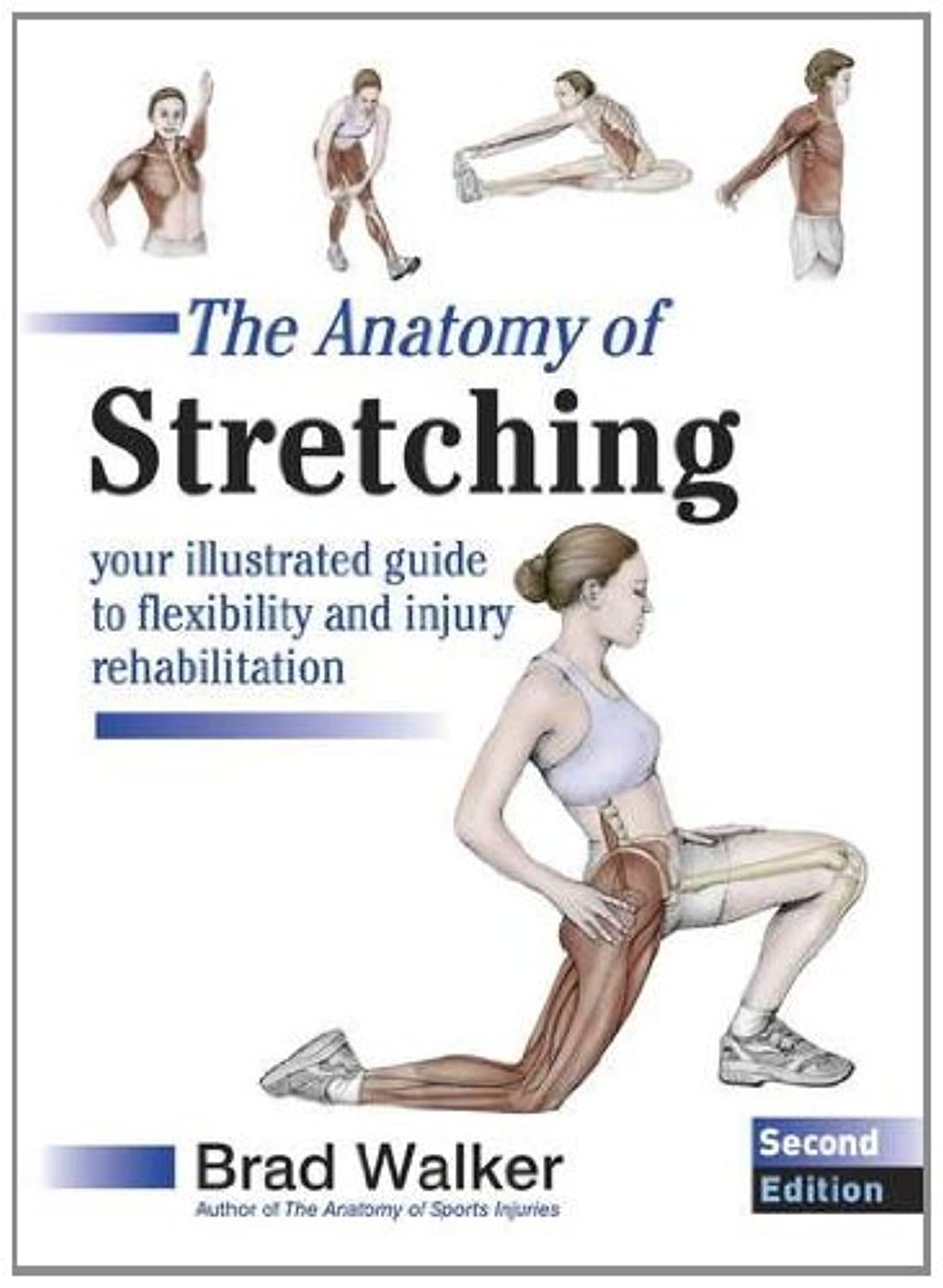 The Anatomy of Stretching: Your Illustrated Guide to Flexibility and Injury Rehabilitation Paperback – Illustrated, 31 January 2011
