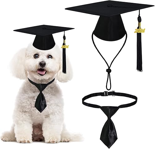 GOYOSWA Gorra de graduación para perro y collar de corbata, traje de graduación ajustable para perro con borlas negras 2023, lazo formal para perro GOYOSWA Gorra de graduación para perro y collar de corbata, traje de graduación ajustable para perro con borlas negras 2023, lazo formal para perro