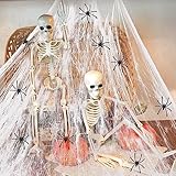2 esqueletos articulables de Halloween de 40 cm con decoraciones de telaraña de Halloween de 40 g y 6 arañas falsas, esqueletos colgantes realistas espeluznantes de cuerpo completo