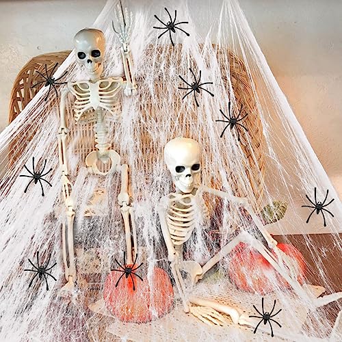 2 esqueletos articulables de Halloween de 40 cm con decoraciones de telaraña de Halloween de 40 g y 6 arañas falsas, esqueletos colgantes realistas espeluznantes de cuerpo completo