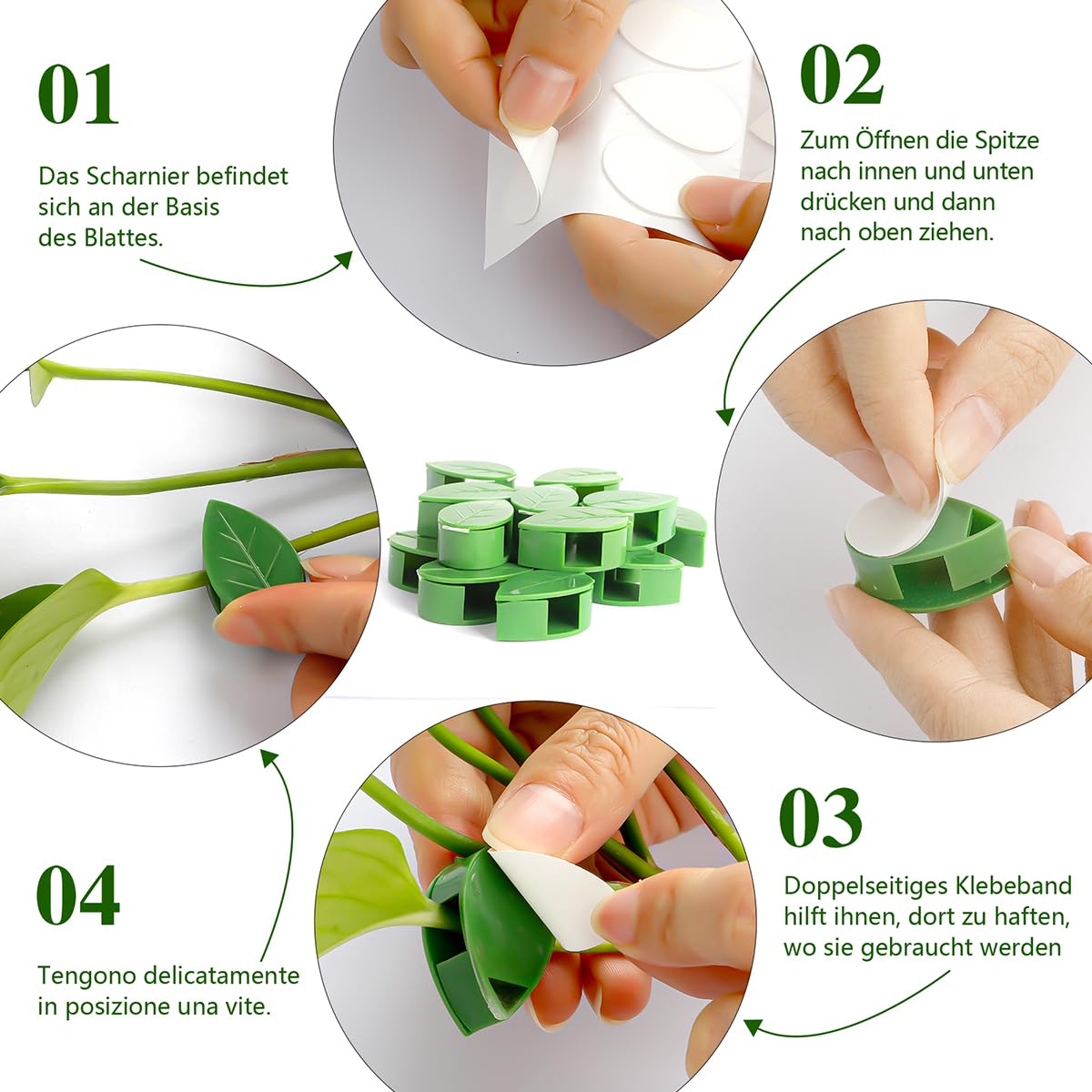 Pflanzenclips 50 Stck,Pflanzenklammern,Pflanzenhalter,Pflanzenclips Wand  Fr Efeutute,Pflanzenclips Klein,Pflanzen Befestigung Efeutute,Rankhilfe  Zimmerpflanzen,Pflanzen Wandhalterung : Amazon.de: Garten