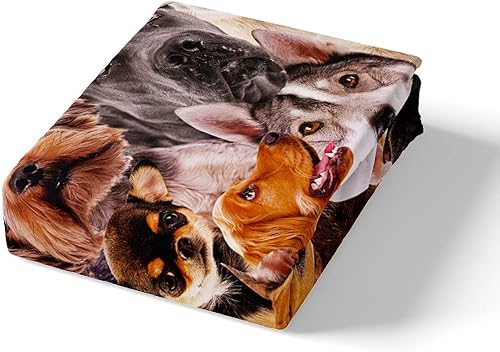 Miniatura 2 de Feelyou Juego de funda de edredón con estampado de perro en 3D, funda de edredón de perro carlino lindo para niños, niñas, adolescentes, juego de