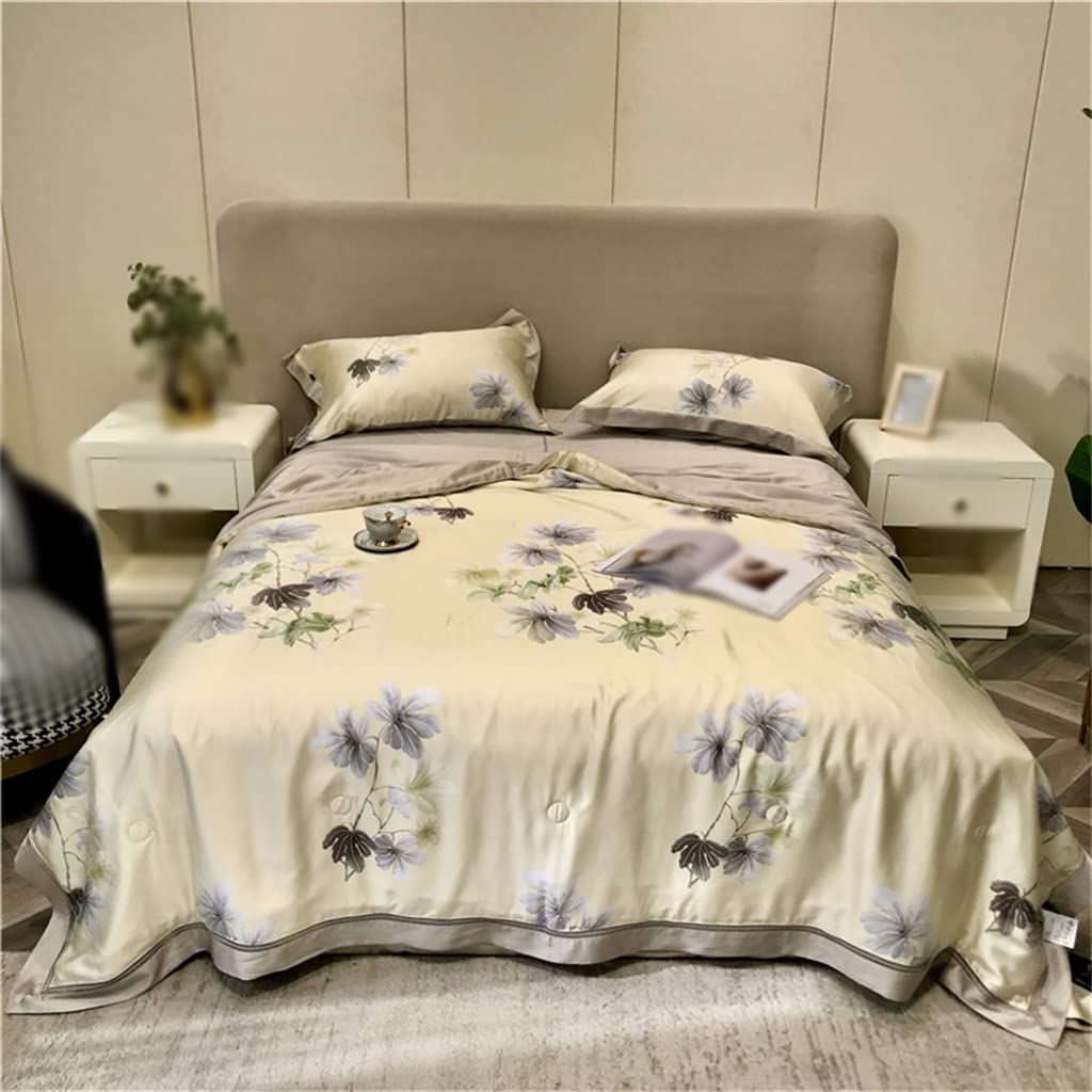Couette d'été Tencel en soie glacée parure de lit 4 pièces luxe