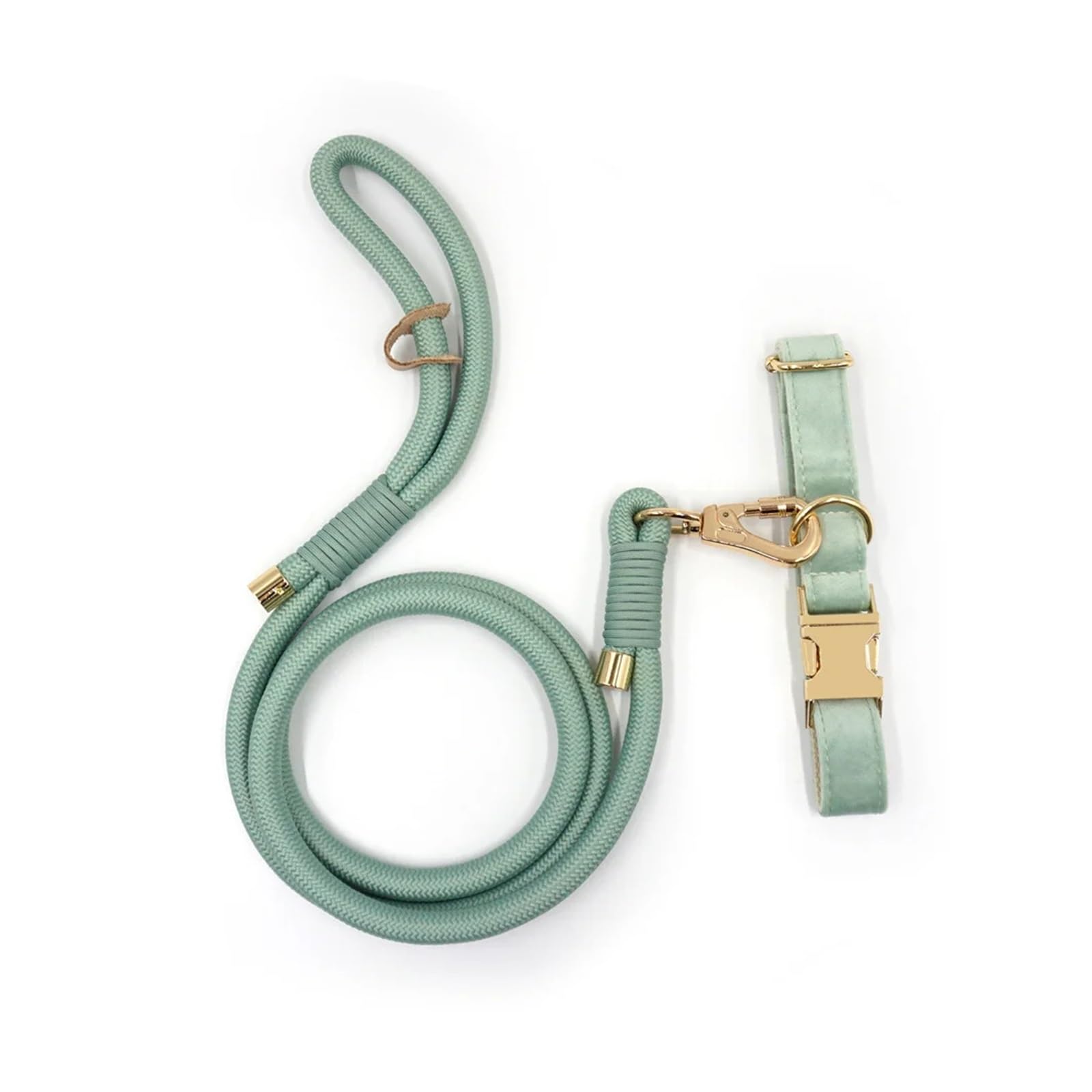 Ensemble collier chien vert menthe XL avec laisse ronde et distributeur