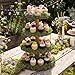 Wenqik 4 Tier Wooden Rustic Cupcake Stand 17 Inch Natural Wood Display Tower Tiered Tray with 7 oz Fake Green Moss Faux Moss for Wedding Birthday Party Farmhouse Dessert Garden Table Centerpiece