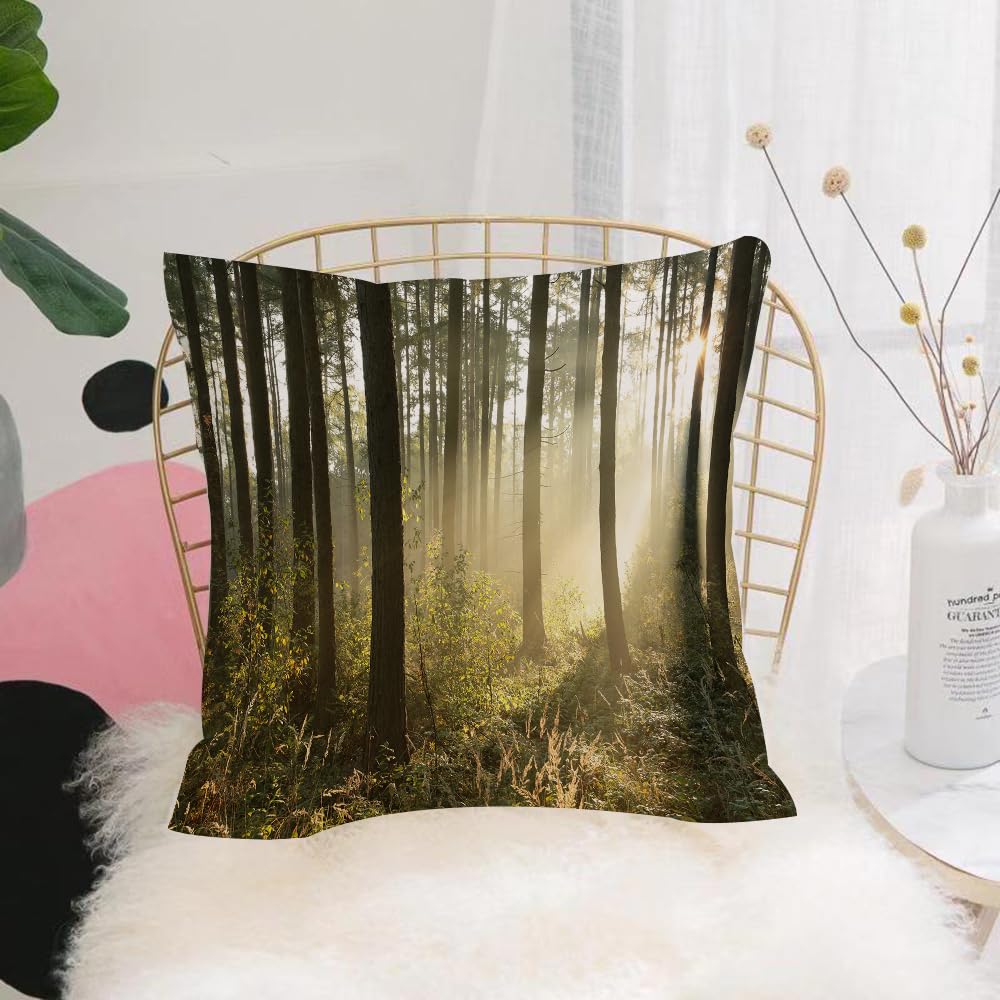 HYOSXW Cushion Cover,Throw Pillow Case Home Decorative for Living Room Bedroom Sofa Chair 16X16 Inch,Autumn coniferous forest on a foggy morning.,Pillowcase 40X40cm