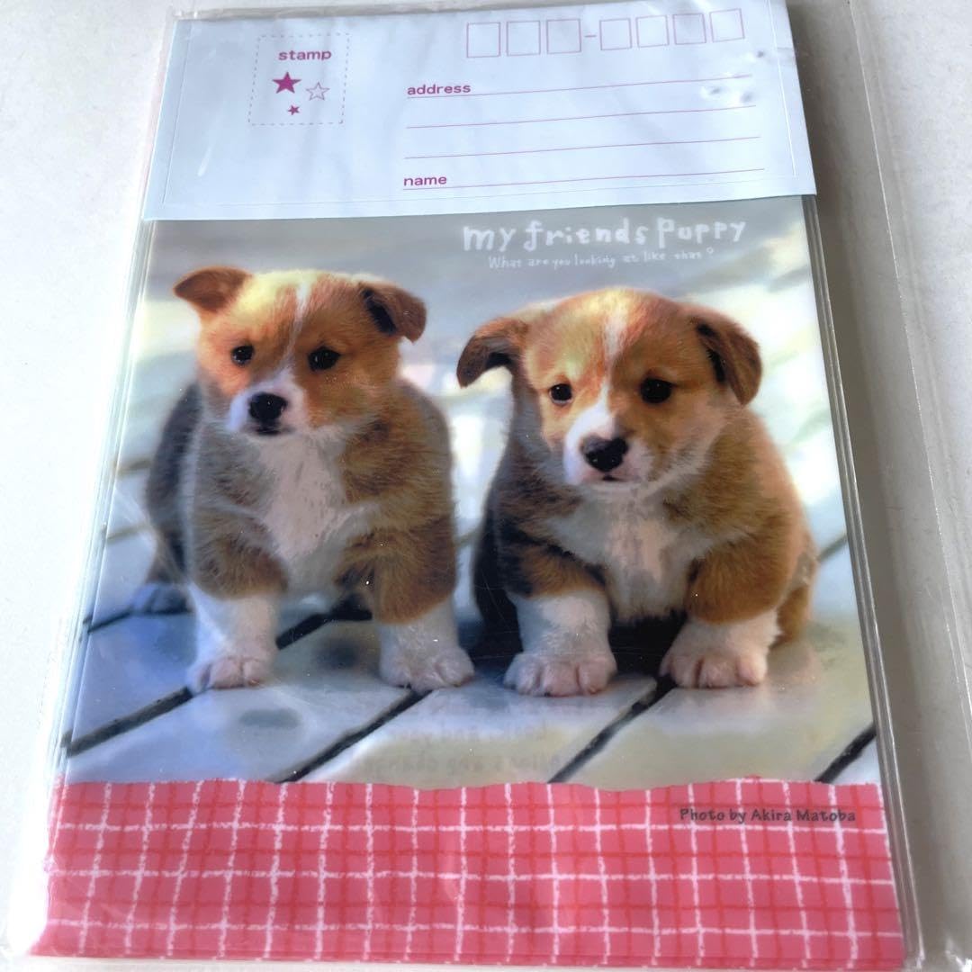 Amazon.co.jp: 平成レトロ カミオジャパン レターセット 犬 実写 子犬