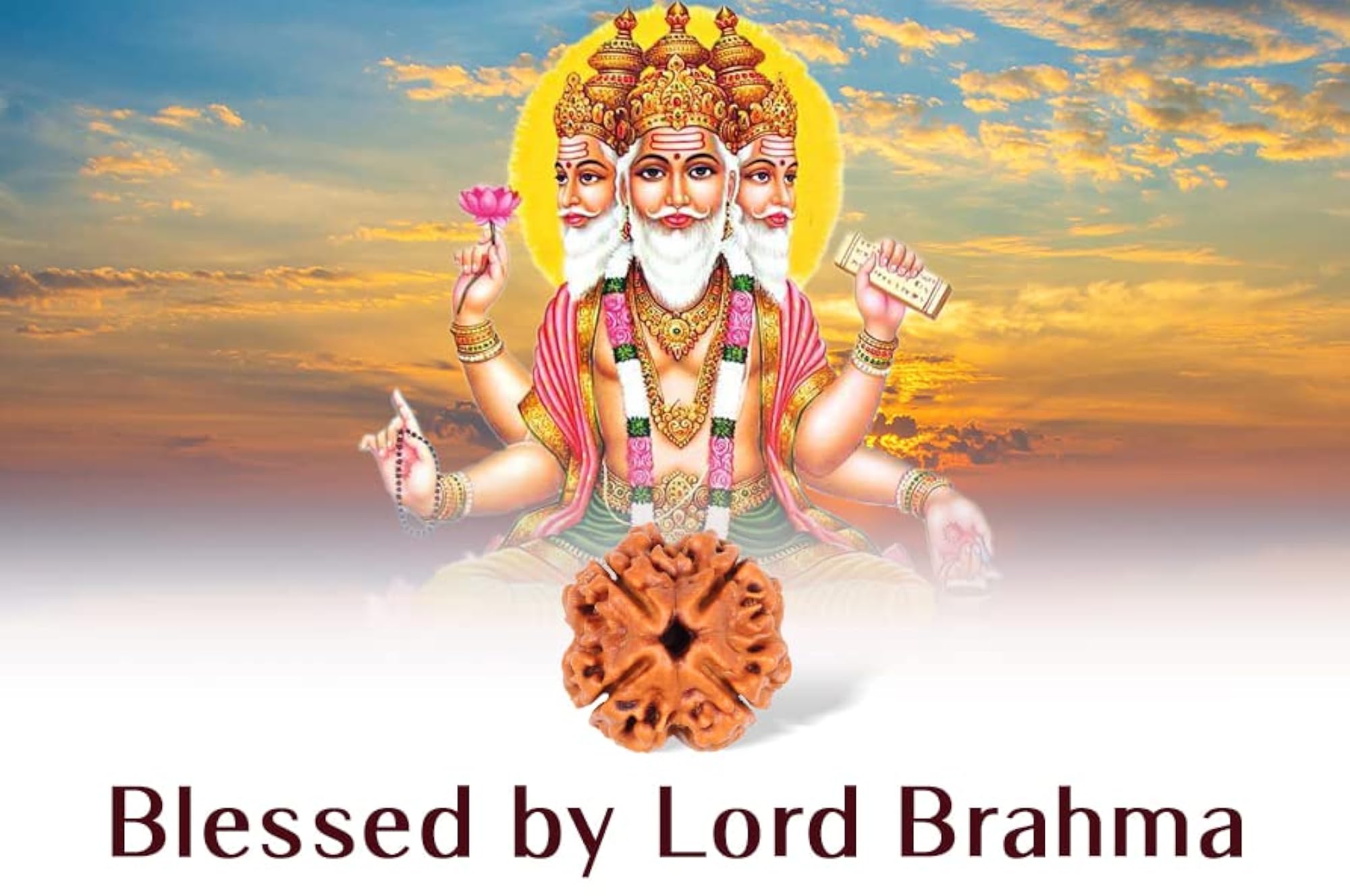 SRT Rudra Chaar Mukhi Rudraksh Natural 4 Mukhi Mala